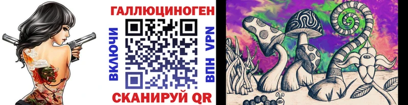 где купить Ржев Псилоцибиновые грибы мухоморы
