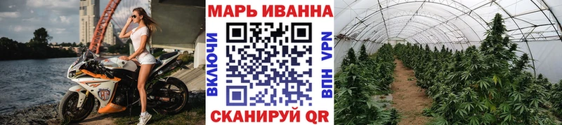 Конопля MAZAR Ржев